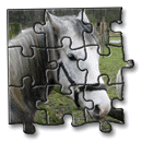 Kimba puzzle