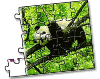 Panda in tree puzzle